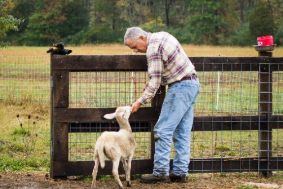 Zoonosis OPS/WHO response